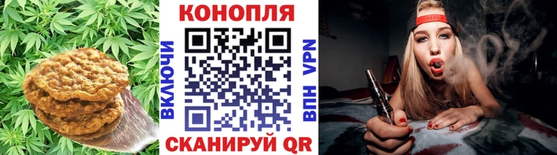 дарнет шоп  мега ссылка  Еда ТГК конопля  Каменногорск 