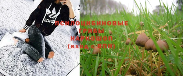 бошки Абдулино